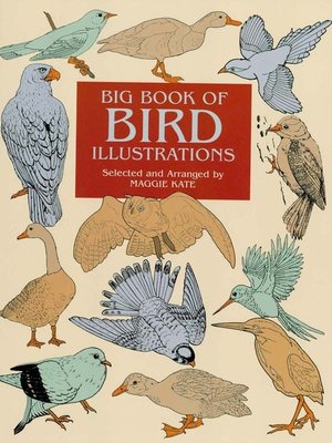 cover image of Big Book of Bird Illustrations